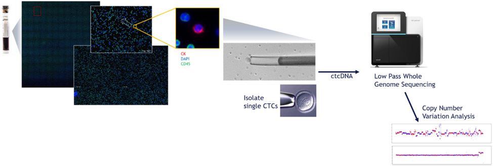 Fig. 1 –