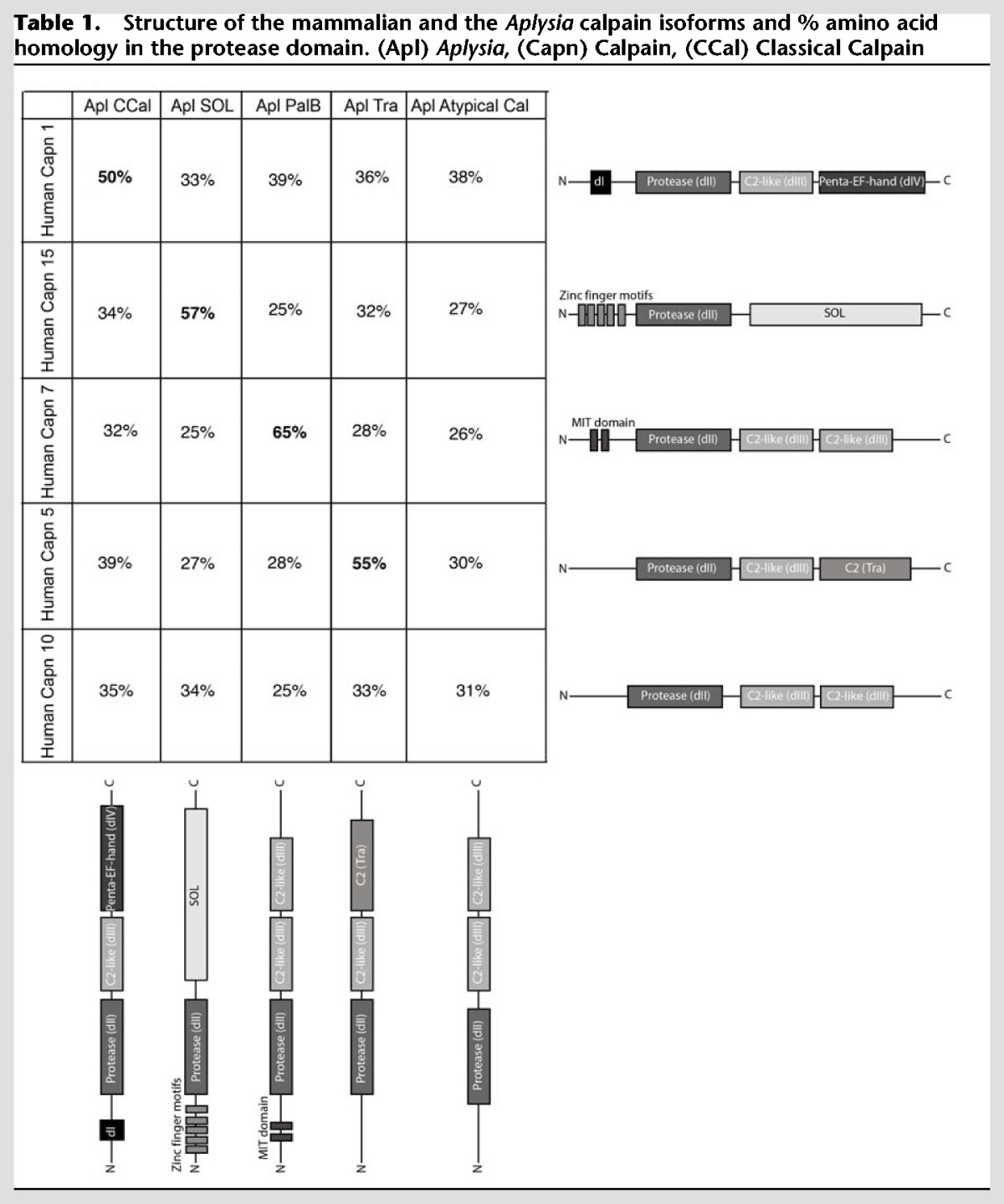 graphic file with name FARAHLM043745TB1.jpg