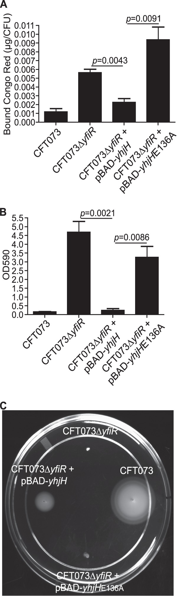 Fig 5