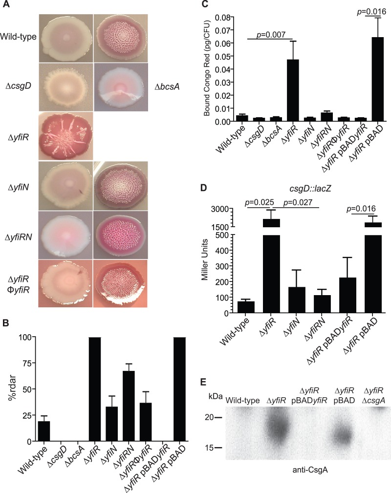 Fig 4