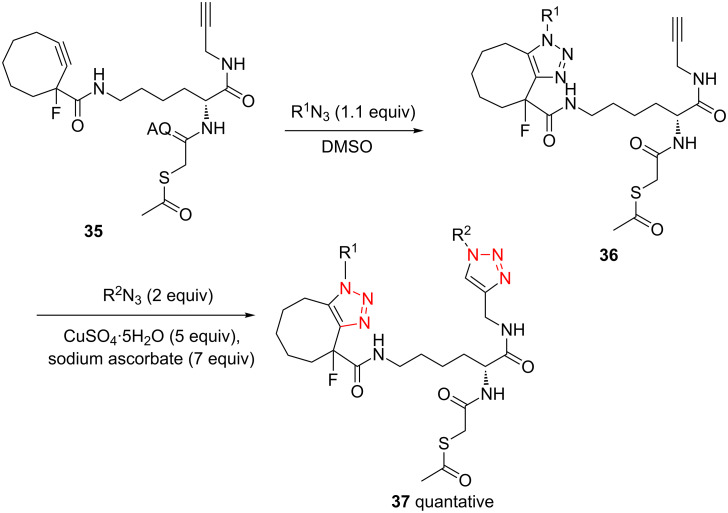 Scheme 14