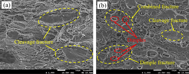 Fig. 14