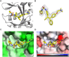 Figure 4