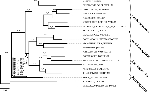 FIG. 6.