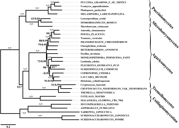 FIG. 5.