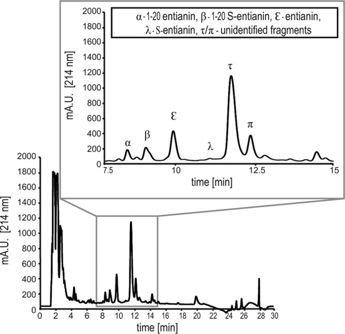 FIG 3