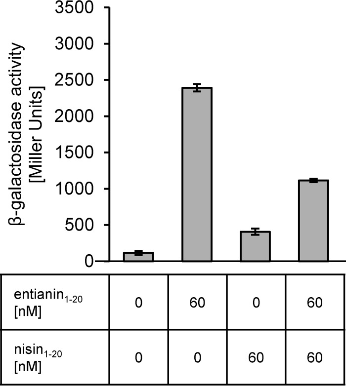 FIG 7