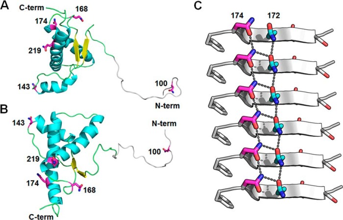 Figure 5.