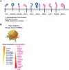 Fig 5