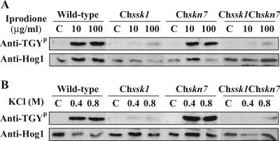 FIG. 7.