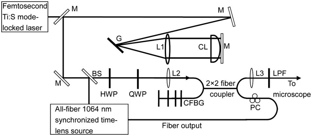 Fig. 1