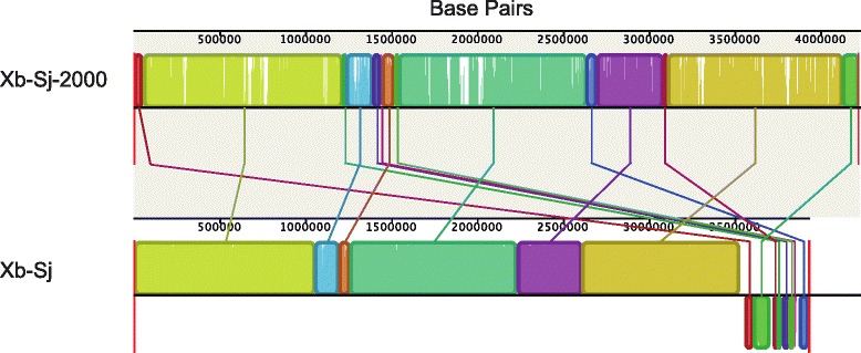 Fig. 2