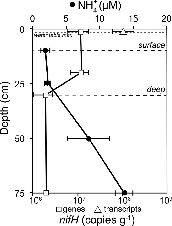 FIG 1