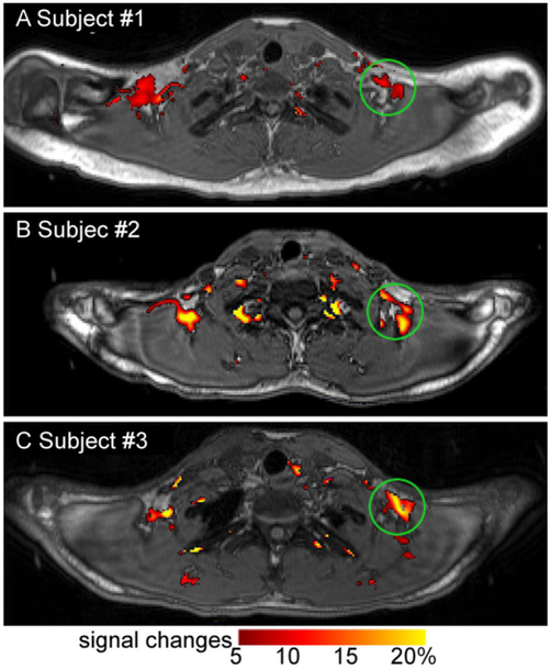 Figure 4: