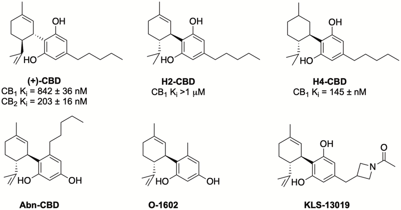 The Essential Medicinal Chemistry of Cannabidiol (CBD) - PMC