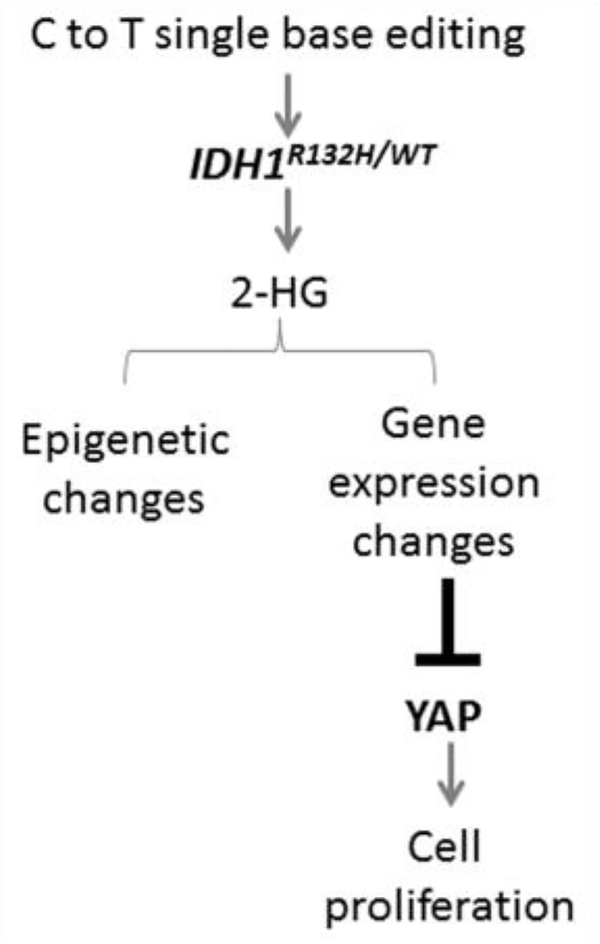 Figure 1: