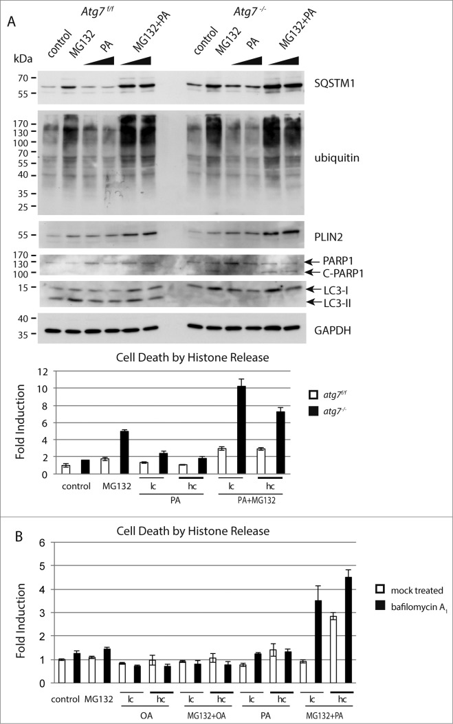 Figure 5 (See previous page).