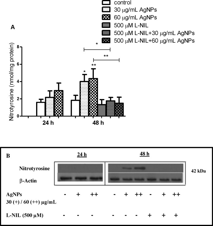 Fig 9