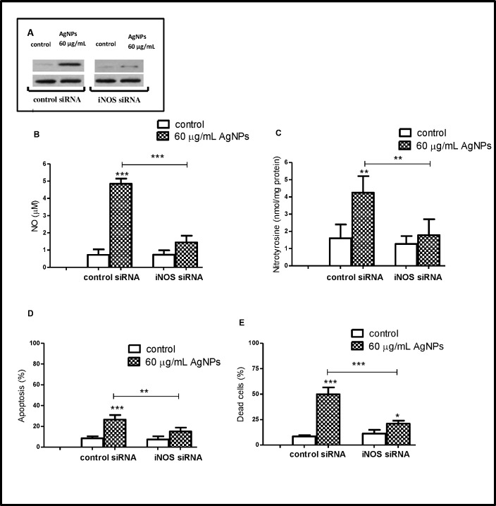 Fig 10