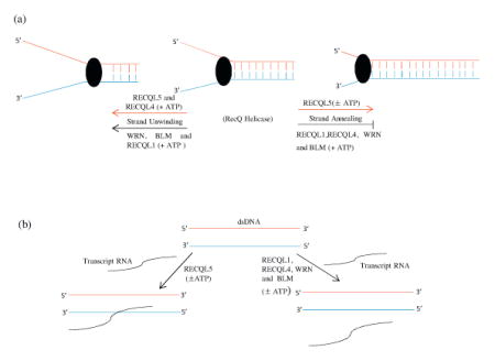 graphic file with name nihms742062u1.jpg