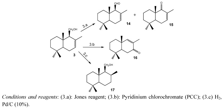 Scheme 3