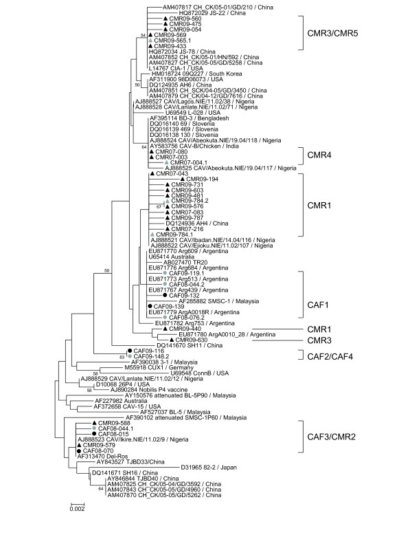 Figure 5