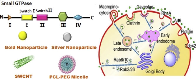 Image, graphical abstract