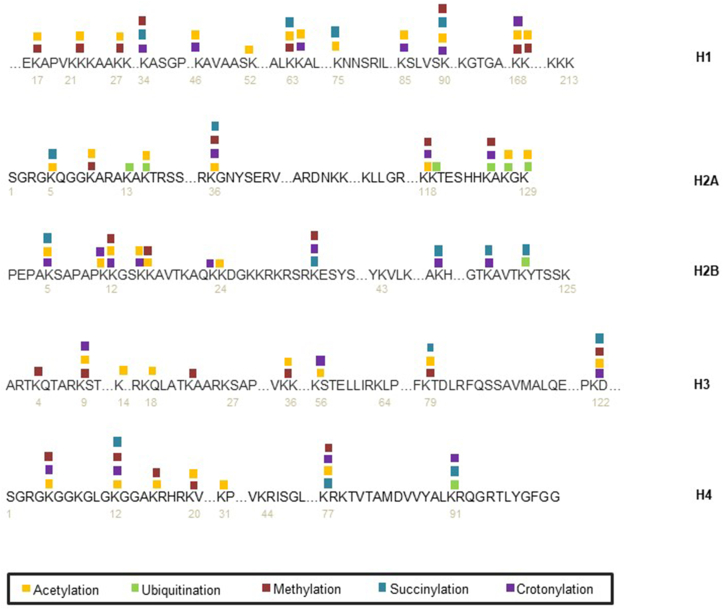 Figure 2