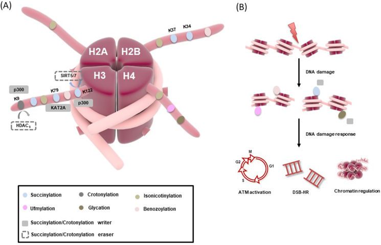 Figure 6