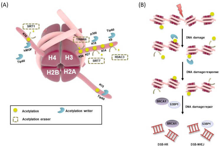 Figure 5