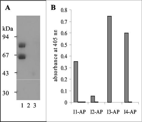 FIG. 9.