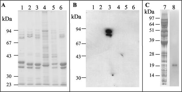 FIG. 10.