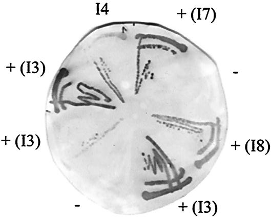 FIG. 5.