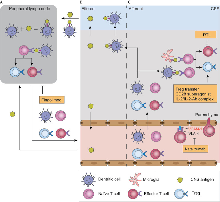 Figure 2