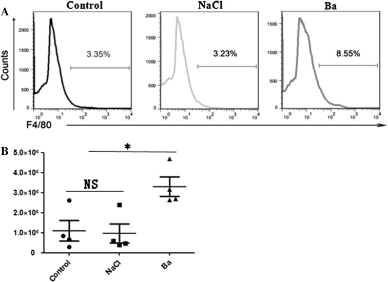 Fig. 3