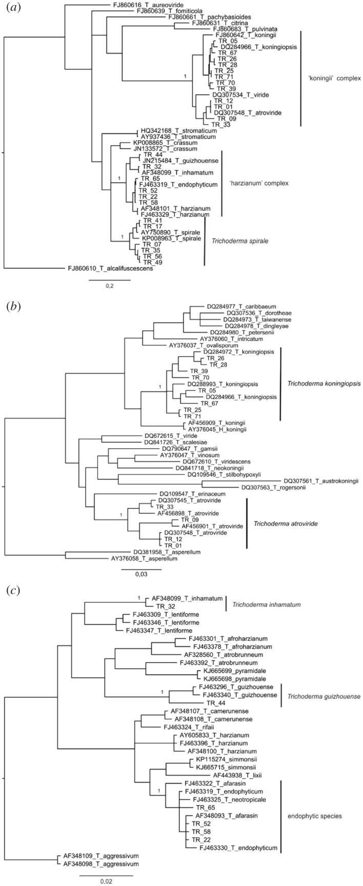 Figure 2.