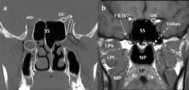 Figure 10.