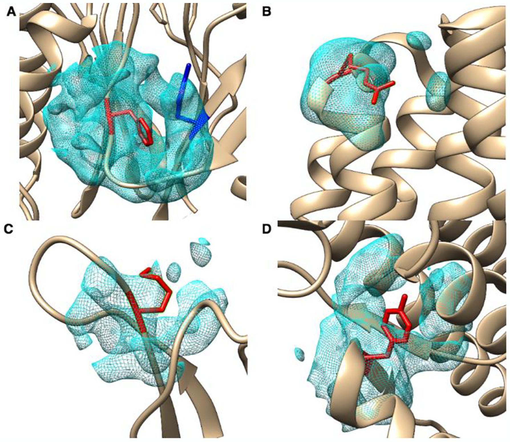 Figure 2.