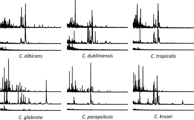 FIG 1