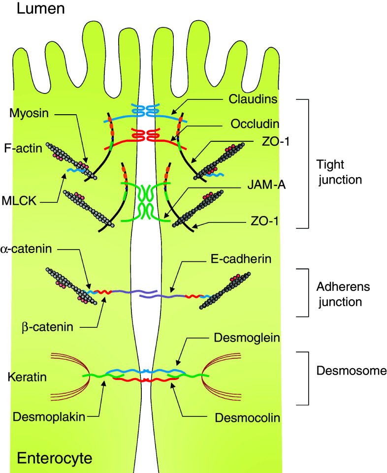 Fig. 2