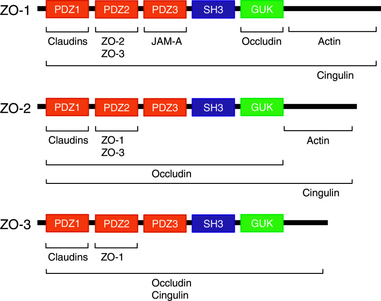 Fig. 3