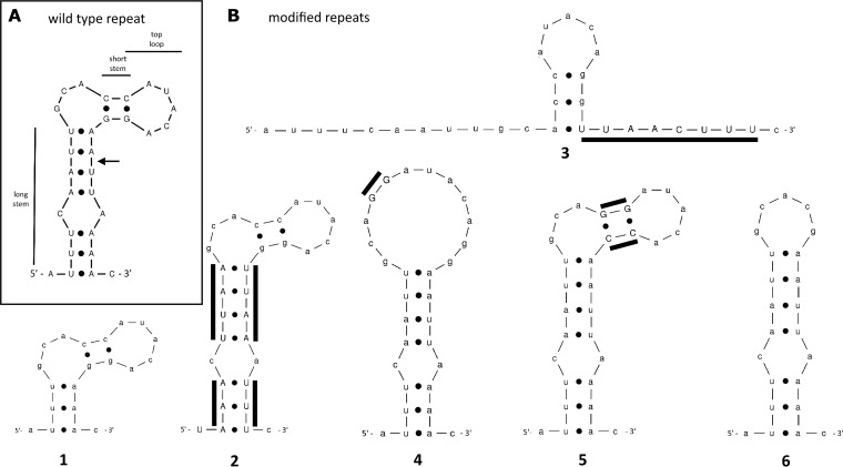 FIG 2