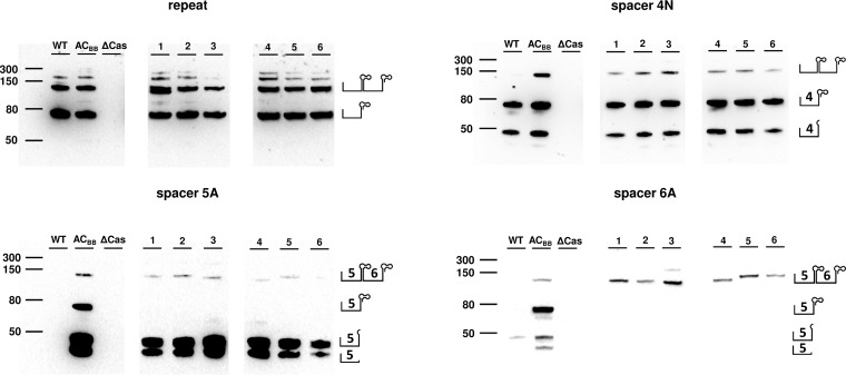 FIG 4