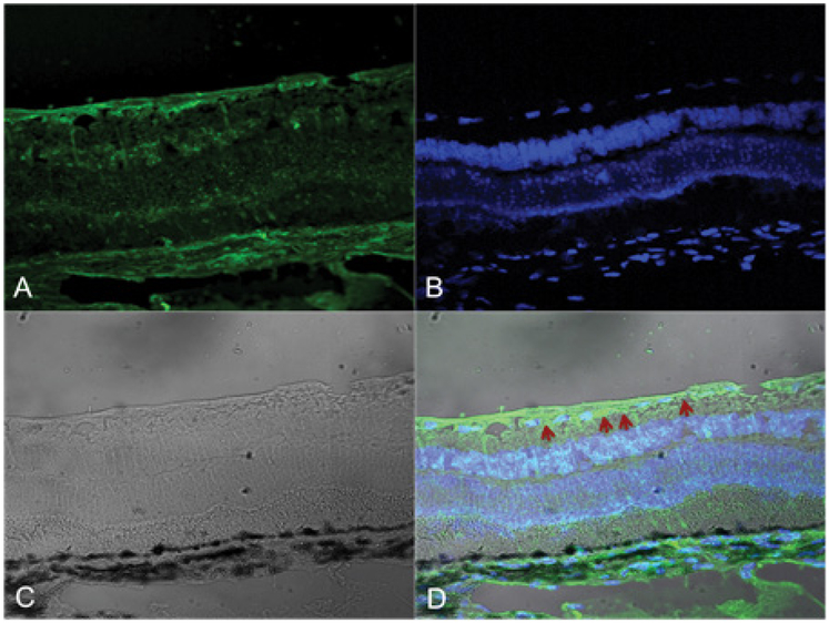 Figure 5:
