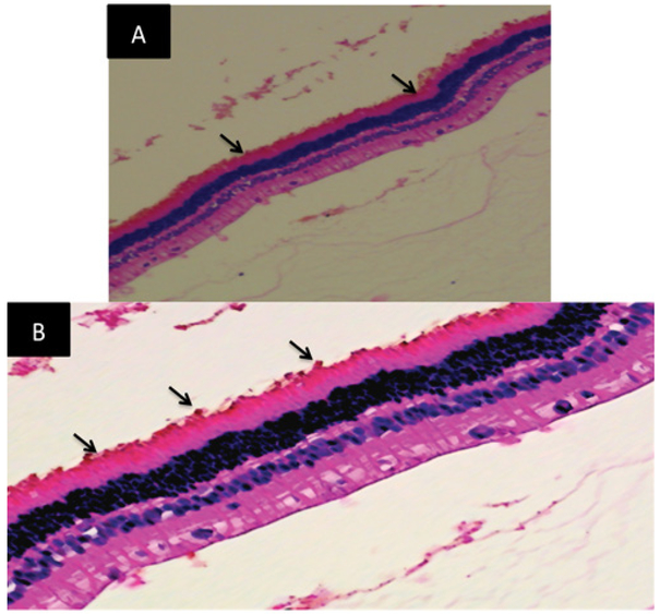 Figure 4:
