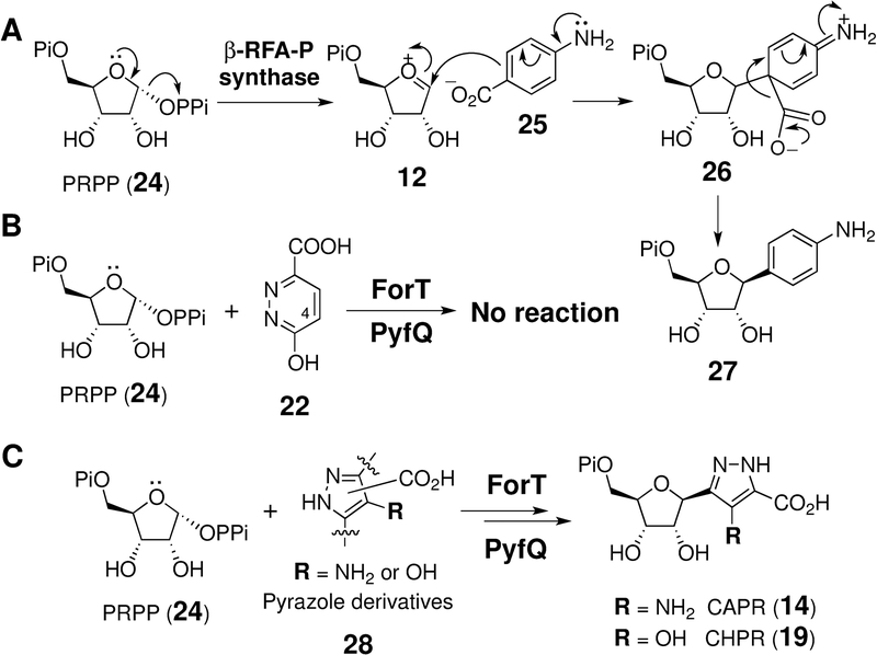 Scheme 3.