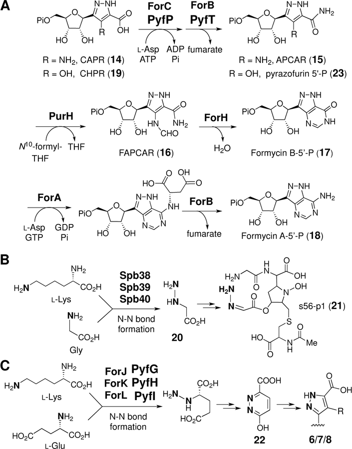 Scheme 2.