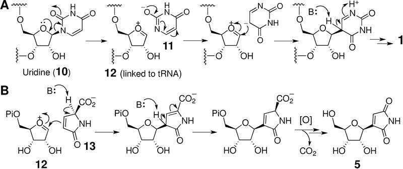 Scheme 1.