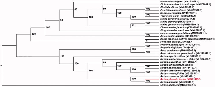 Figure 1.