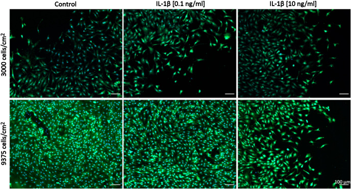 Figure 6